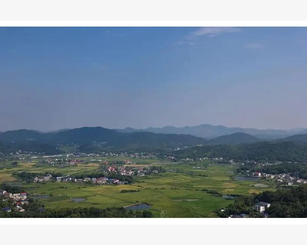MT4模拟账户实操注意要点避免常见误区