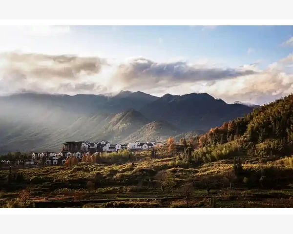 MT4电脑版重复操作精简技巧让交易效率翻倍_电脑硬件与系统资源占用过多