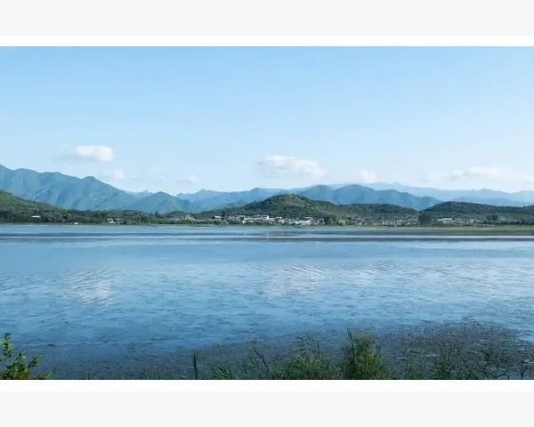 MT4手机端账户退出一键操作详解